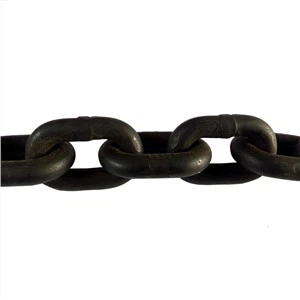 20Mn2 G80 11*33mm legeerterasest tõstekett